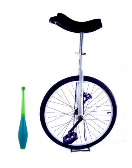 Monociclo Aro 24 Teliang