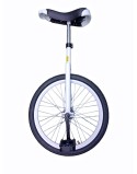 Monociclo Aro 20 Calle