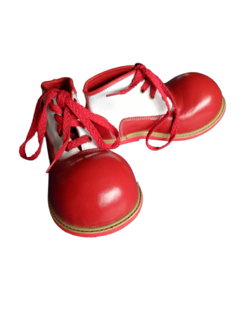 Zapato Payaso para Niño
