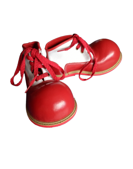 Zapato Payaso para Niño