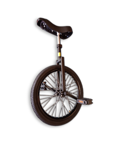 Monociclo Aro 20 Calle